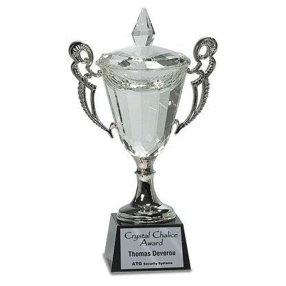 11 1/4" Crystal Cup with Silver Handles and Stem